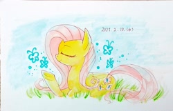 Size: 1989x1281 | Tagged: safe, artist:yukkuri_yu_yu, imported from derpibooru, fluttershy, butterfly, pegasus, pony, 2021, eyes closed, female, grass, mare, raised hoof, side view, sitting, solo, traditional art