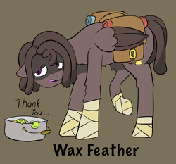 Size: 2429x2267 | Tagged: safe, artist:wax feather, imported from derpibooru, oc, oc:wax feather, pegasus, pony, backpack, bandage, begging, homeless, male, money, pot