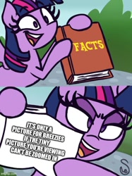 Size: 500x667 | Tagged: safe, artist:quarium edits, edit, imported from derpibooru, twilight sparkle, alicorn, pony, book, caption, exploitable meme, eyebrows, eyebrows visible through hair, female, hoof hold, horn, image macro, imgflip, mare, meme, open mouth, open smile, smiling, solo, text, twilight sparkle (alicorn), twilight's fact book