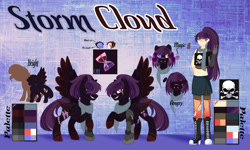 Size: 2533x1524 | Tagged: safe, artist:stormcloud-yt, imported from derpibooru, oc, oc only, human, pegasus, pony, clothes, eye scar, heterochromia, humanized, pegasus oc, raised hoof, scar, scarf, wings
