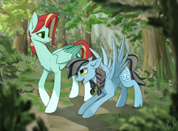 Size: 2600x1920 | Tagged: safe, artist:glassygreatart, imported from derpibooru, oc, oc:crochetquill, pegasus, pony, duo, folded wings, forest, smiling, spread wings, talking, wings