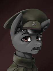 Size: 3120x4200 | Tagged: safe, artist:闪电_lightning, imported from derpibooru, oc, pony, equestria at war mod, bust, portrait