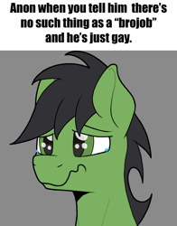 Size: 1748x2234 | Tagged: safe, artist:sefastpone, imported from derpibooru, oc, oc only, oc:anon stallion, earth pony, pony, brojob, crying, digital art, implied gay, male, meme, sad, solo, stallion, teary eyes, wavy mouth