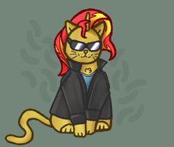 Size: 641x541 | Tagged: safe, artist:circumflexs, imported from derpibooru, sunset shimmer, cat, equestria girls, catified, clothes, female, jacket, leather jacket, nyanset shimmer, solo, species swap, sunglasses