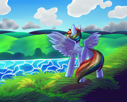 Size: 1500x1200 | Tagged: safe, artist:blackmarkerdraws, imported from derpibooru, rainbow dash, pegasus, pony, female, grass, solo, spread wings, water, wings