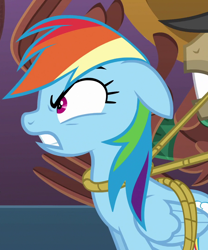 Size: 900x1080 | Tagged: safe, imported from derpibooru, screencap, rainbow dash, pegasus, pony, season 6, stranger than fan fiction, angry, bondage, cropped, female, gritted teeth, mare, rainbond dash, rope, rope bondage, tied up