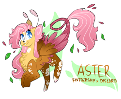 Size: 2736x2220 | Tagged: safe, artist:goldlines005, imported from derpibooru, oc, oc only, draconequus, hybrid, chest fluff, draconequus oc, female, interspecies offspring, offspring, parent:discord, parent:fluttershy, parents:discoshy, simple background, solo, white background
