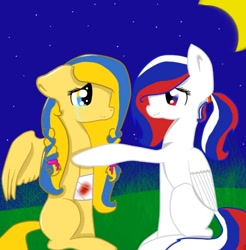 Size: 704x716 | Tagged: safe, artist:mary yukine creator, imported from derpibooru, oc, oc:marussia, oc:ukraine, pegasus, pony, bandage, blood, current events, duo, injured, nation ponies, night, pegasus oc, russia, sad, sitting, ukraine