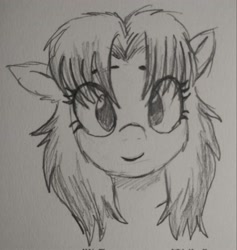 Size: 1938x2048 | Tagged: safe, artist:pony quarantine, imported from derpibooru, oc, oc only, oc:skift, pony, bust, eye clipping through hair, eyebrows, eyelashes, female, gradient mane, looking at you, mare, no pupils, pencil drawing, smiling, smiling at you, snow mare, snowpony (species), solo, taiga pony, traditional art, yakutian horse