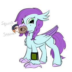 Size: 3000x3000 | Tagged: safe, artist:solos, imported from derpibooru, oc, oc only, oc:aella breeze, oc:valkyrie, hippogriff, fallout equestria, beak, birb, feather, female, folded wings, freckles, high res, hippogriff oc, hooves, mole, mouth hold, pipbuck, plushie, simple background, smiling, solo, standing, talons, transparent background, wings