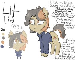 Size: 750x600 | Tagged: safe, artist:cherro, imported from derpibooru, oc, oc only, oc:lit lid, earth pony, pony, clothes, female, hoodie, mare, reference sheet, solo, text