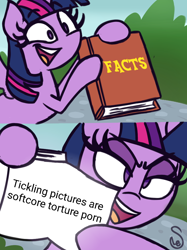 Size: 760x1014 | Tagged: safe, artist:quarium edits, edit, imported from derpibooru, twilight sparkle, alicorn, book, caption, exploitable meme, female, fetish, image macro, mare, meme, solo, text, tickle fetish, tickling, twilight sparkle (alicorn), twilight's fact book