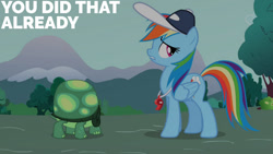 Size: 1280x720 | Tagged: safe, edit, edited screencap, editor:quoterific, imported from derpibooru, screencap, rainbow dash, tank, pegasus, pony, tortoise, may the best pet win, season 2, coach rainbow dash, duo, female, male, mare, rainbow dashs coaching whistle, text, whistle, whistle necklace