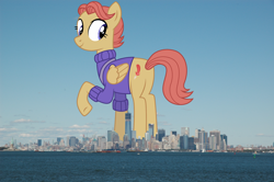 Size: 2300x1529 | Tagged: safe, artist:dragonchaser123, artist:thegiantponyfan, imported from derpibooru, amber ink, pegasus, pony, butt, clothes, female, folded wings, giant pegasus, giant pony, giantess, highrise ponies, irl, looking at you, looking back, looking back at you, macro, manhattan, mare, mega giant, new york, new york city, photo, plot, ponies in real life, raised hoof, smiling, sweater, wings