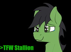 Size: 2480x1828 | Tagged: safe, artist:sefastpone, edit, imported from derpibooru, oc, oc:anon stallion, pony, black background, crying, digital art, greentext, male, simple background, smiling, stallion, tears of joy, text, tfw
