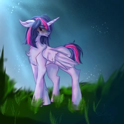 Size: 1080x1080 | Tagged: safe, artist:sakurananami03, imported from derpibooru, twilight sparkle, alicorn, pony, chest fluff, digital art, female, floppy ears, folded wings, grass, hooves, horn, mare, melancholy, solo, standing, tail, twilight sparkle (alicorn), wings