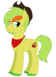 Size: 1269x1738 | Tagged: safe, artist:dyonys, imported from derpibooru, oc, oc only, oc:charles ross, earth pony, pony, cowboy hat, freckles, hat, male, neckerchief, simple background, solo, stallion, standing, stetson, transparent background, unshorn fetlocks