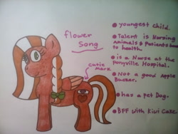 Size: 1600x1200 | Tagged: safe, artist:cpthewingedneko, imported from derpibooru, oc, oc only, oc:flower song, pegasus, pony, bow, braid, female, freckles, hair bow, mare, offspring, parent:big macintosh, parent:fluttershy, parents:fluttermac, simple background, solo, two toned mane, white background