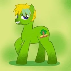 Size: 2000x2000 | Tagged: safe, artist:mediocremare, imported from derpibooru, oc, oc only, earth pony, pony, earth pony oc, full body, grin, high res, hooves, lidded eyes, male, no tail, smiling, solo, stallion, standing