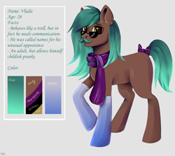 Size: 3700x3300 | Tagged: safe, artist:ske, imported from derpibooru, oc, oc only, earth pony, pony, bow, clothes, facial hair, moustache, reference, reference sheet, scarf, socks, solo, sunglasses, tail, tail bow