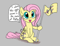 Size: 452x341 | Tagged: safe, artist:dotkwa, fluttershy, pegasus, pony, aggie.io, female, flag, mare, open mouth, simple background, sitting, smiling, talking