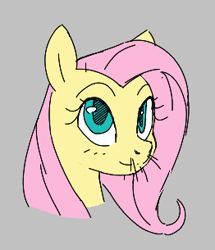 Size: 262x305 | Tagged: safe, fluttershy, pony, aggie.io, female, looking up, lowres, mare, simple background, smiling, whiskers