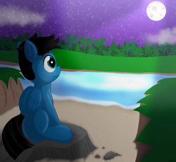 Size: 7200x6600 | Tagged: safe, artist:agkandphotomaker2000, imported from derpibooru, oc, oc only, oc:pony video maker, pegasus, pony, admiring, cloud, folded wings, forest, lake, looking at the scenery, moon, moonlight, night, rock, sand, sitting, stars, tree, water, wings