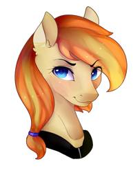 Size: 2825x3665 | Tagged: safe, artist:highrolleryt, imported from derpibooru, oc, oc only, earth pony, pony, bust, earth pony oc, eyelashes, female, mare, simple background, solo, transparent background