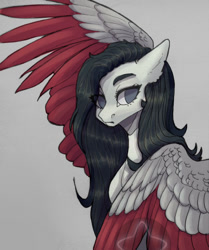 Size: 902x1080 | Tagged: safe, artist:meggychocolatka, imported from derpibooru, oc, oc only, pegasus, pony, bust, colored wings, female, gray background, mare, simple background, solo, two toned wings, wings