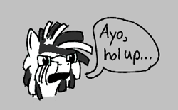 Size: 304x188 | Tagged: safe, zebra, aggie.io, frown, lowres, male, simple background, speech bubble, stallion, talking