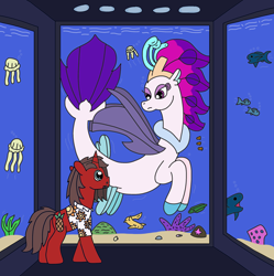 Size: 2408x2422 | Tagged: safe, artist:supahdonarudo, imported from derpibooru, queen novo, oc, oc:ironyoshi, eel, fish, jellyfish, seapony (g4), shark, starfish, unicorn, my little pony: the movie, aquarium, coral, looking at each other, looking at someone, redraw, shell