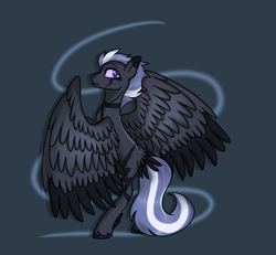 Size: 1660x1536 | Tagged: safe, artist:revenge.cats, imported from derpibooru, oc, pegasus, pony, large wings, simple background, solo, standing on two hooves, tail, tail feathers, wings