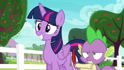 Size: 1280x720 | Tagged: safe, imported from derpibooru, screencap, spike, twilight sparkle, alicorn, dragon, pony, ppov, season 6, annoyed, apple, apple tree, awkward smile, duo, female, fence, male, mare, narrowed eyes, quill, scroll, smiling, spike is not amused, tree, twilight sparkle (alicorn), unamused