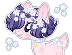 Size: 1408x1078 | Tagged: safe, artist:toffeelavender, imported from derpibooru, oc, oc only, earth pony, pony, base used, bust, collar, earth pony oc, eyelashes, female, flower, flower in hair, mare, simple background, solo, transparent background