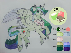 Size: 1280x960 | Tagged: safe, artist:stormcloud-yt, imported from derpibooru, oc, oc only, alicorn, pony, alicorn oc, colored wings, horn, reference sheet, simple background, solo, traditional art, two toned wings, unshorn fetlocks, wings