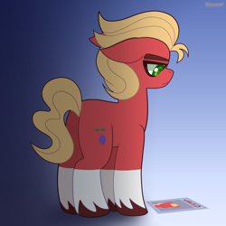 Size: 2000x2000 | Tagged: safe, artist:saveraedae, imported from derpibooru, sprout cloverleaf, earth pony, pony, butt, floppy ears, g5, looking down, male, my little pony: tell your tale, plot, sad, solo, stallion, unshorn fetlocks, wanted, wanted poster