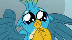 Size: 1280x720 | Tagged: safe, imported from derpibooru, screencap, gallus, griffon, school daze, :<, cute, daaaaaaaaaaaw, dilated pupils, eye shimmer, floppy ears, frown, gallabetes, hnnng, looking at you, majestic, male, pleading, please, puppy dog eyes, puppy-eyed gallus, sad, sad face, sadorable, solo, spread wings, weapons-grade cute, wings