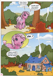 Size: 606x868 | Tagged: safe, artist:heckyeahponyscans, imported from derpibooru, pinkie pie (g3), earth pony, pony, g3, house, official, pinkie pie and the artist, solo