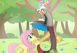 Size: 1024x699 | Tagged: safe, artist:mlplary6, imported from derpibooru, discord, fluttershy, draconequus, pegasus, pony, discoshy, female, forest, holding hands, looking at each other, male, mare, shipping, smiling, smiling at each other, straight