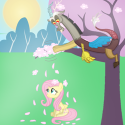 Size: 720x720 | Tagged: safe, artist:mlplary6, imported from derpibooru, discord, fluttershy, draconequus, pegasus, pony, discoshy, female, flower, flower petals, male, mare, shipping, smiling, straight, sun, tree