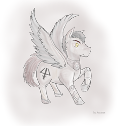 Size: 2048x2048 | Tagged: safe, artist:antares, imported from derpibooru, oc, oc:sombreta, pegasus, pony, male, pegasus oc, solo, stallion