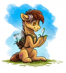 Size: 1916x2126 | Tagged: safe, artist:helmie-art, imported from derpibooru, oc, oc only, unnamed oc, earth pony, pony, earth pony oc, eyebrows, flower, grin, high res, male, simple background, sitting, smiling, solo, stallion, white background