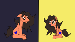 Size: 1280x720 | Tagged: safe, artist:platinumdrop, imported from derpibooru, oc, oc only, oc:robertapuddin, earth pony, female, happy, male, mare, request, sad, solo, stallion, transgender