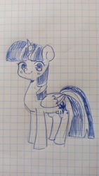 Size: 1152x2048 | Tagged: safe, artist:cherrnichka, imported from derpibooru, twilight sparkle, alicorn, pony, female, folded wings, graph paper, grid, horn, looking at you, mare, solo, traditional art, twilight sparkle (alicorn), wings