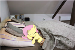 Size: 6000x4000 | Tagged: safe, artist:thesovietboi1945, imported from derpibooru, fluttershy, pegasus, pony, stare master, bed, cute, female, irl, photo, ponies in real life, shyabetes, sleeping, solo