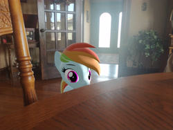 Size: 4608x3456 | Tagged: safe, artist:acid flask, imported from derpibooru, rainbow dash, 3d, gimp, house, jpg, lens flare, looking at you, picture, source filmmaker, table