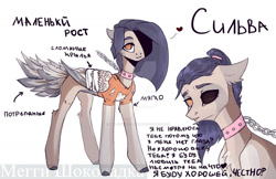 Size: 1280x829 | Tagged: safe, artist:meggychocolatka, imported from derpibooru, oc, oc only, pegasus, pony, bandage, bust, chains, clothes, collar, cyrillic, deviantart watermark, duo, female, heterochromia, mare, obtrusive watermark, pegasus oc, reference sheet, russian, simple background, watermark, white background, wings