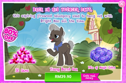 Size: 1036x680 | Tagged: safe, imported from derpibooru, burnt oak, advertisement, costs real money, gameloft, magic coins, male, official, sale, stallion, younger