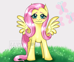 Size: 2151x1800 | Tagged: safe, artist:lupinex-art, imported from derpibooru, fluttershy, pegasus, pony, :3, cute, female, looking at you, mare, shyabetes, solo, spread wings, wings