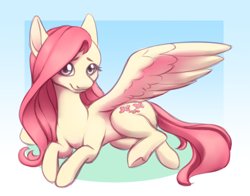 Size: 2800x2200 | Tagged: safe, artist:anvalina, imported from derpibooru, fluttershy, pegasus, pony, cute, female, gradient background, high res, lying down, mare, prone, shyabetes, smiling, solo, spread wings, three quarter view, turned head, wings